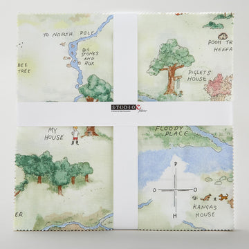 Classic Winnie 10" Squares