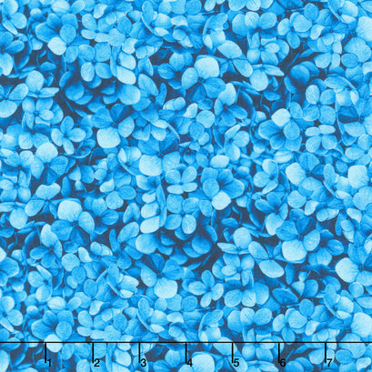 Midnight Bloom - Packed Hydrangea Petals Blue Yardage