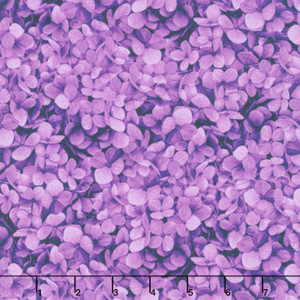 Midnight Bloom - Packed Hydrangea Petals Magenta Yardage