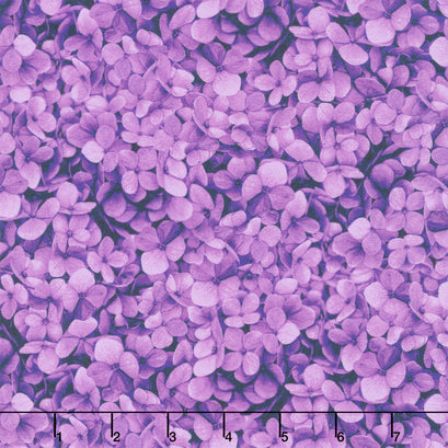 Midnight Bloom - Packed Hydrangea Petals Magenta Yardage