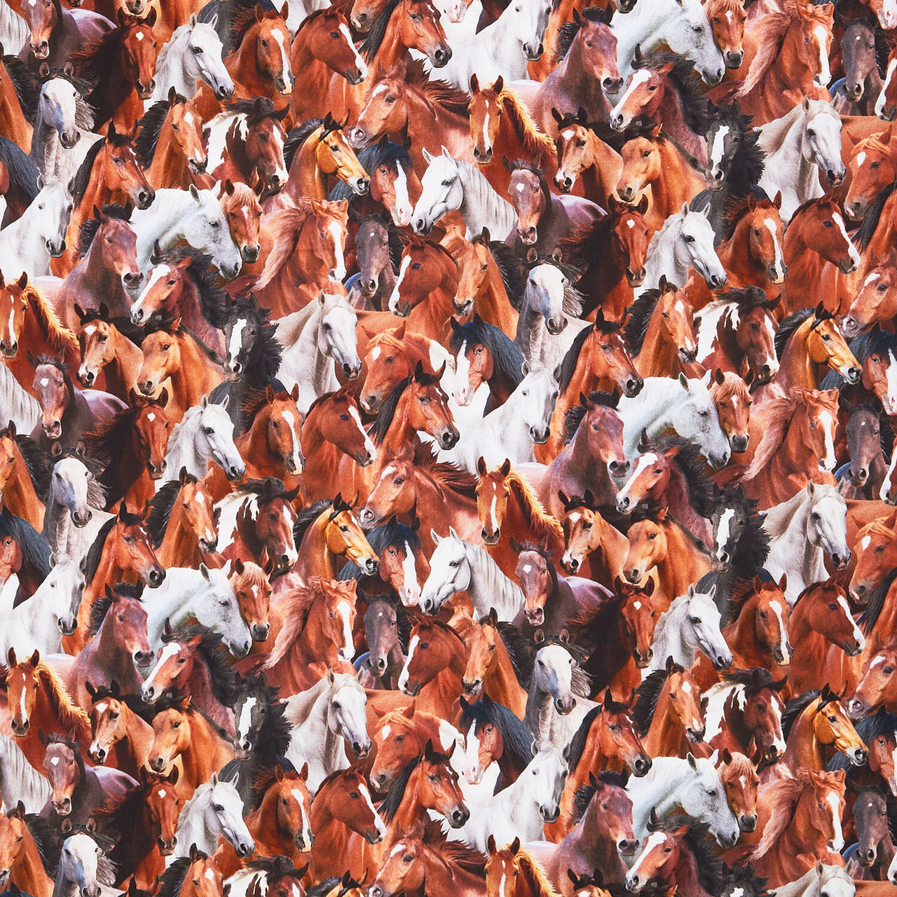 Home On The Range - Packed Horses Brown Yardage