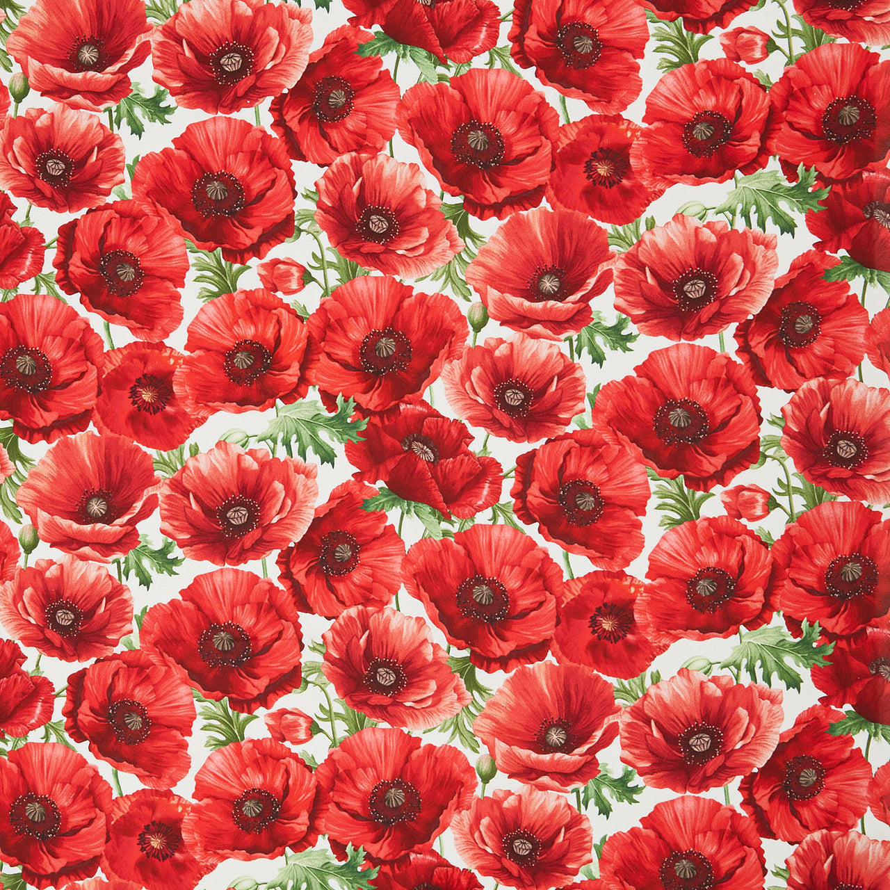 Poppy Passion - Large Poppy Floral Cream Yardage