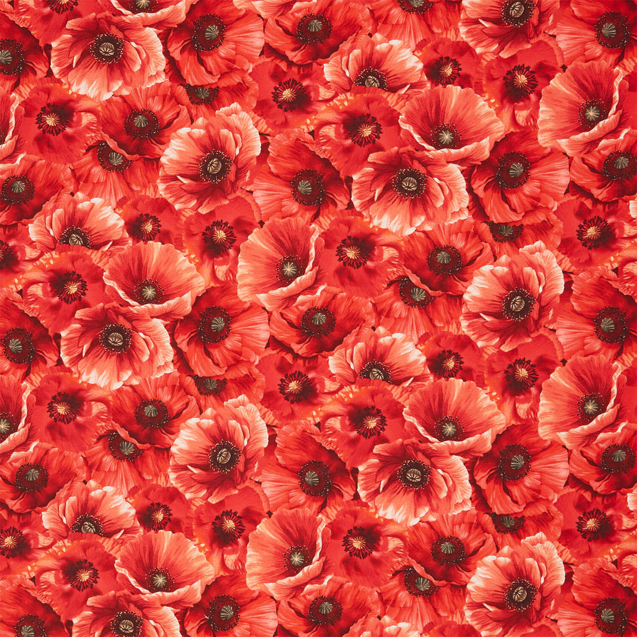Poppy Passion - Packed Poppies Poppy Yardage
