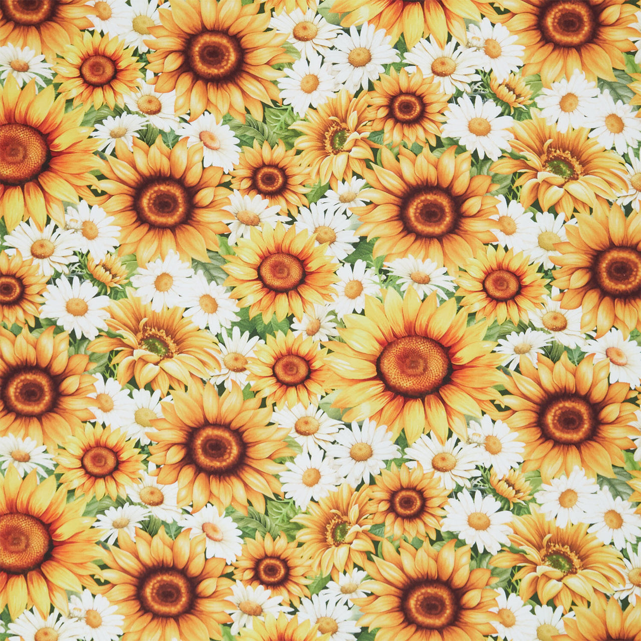 You Are My Sunshine - Packed Daisies & Sunflowers Sunflower Yardage