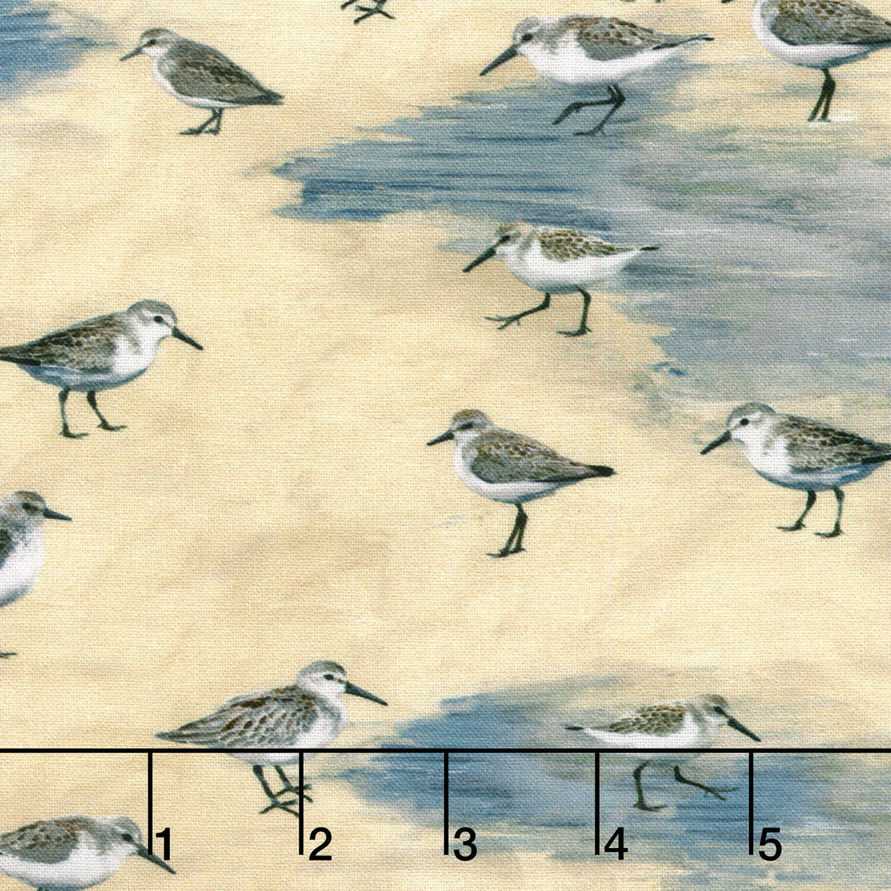 Let Your Light Shine - Sandpipers Sand Yardage