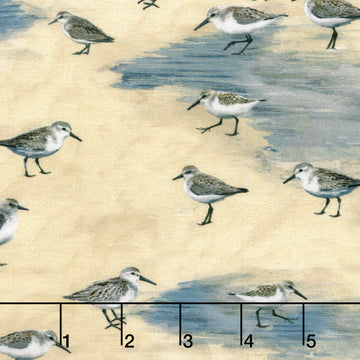 Let Your Light Shine - Sandpipers Sand Yardage
