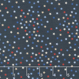 Path To Freedom - Stars Admiral Yardage