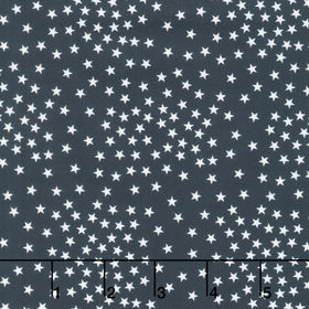 Path To Freedom - Stars Navy Yardage