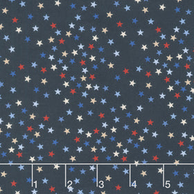 Path To Freedom - Stars Admiral 108" Wide Backing