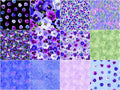 Pansy Perfection 2 1/2" Strips