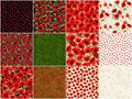 Poppy Passion 2 1/2" Strips