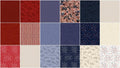 Path To Freedom 2 1/2" Strips
