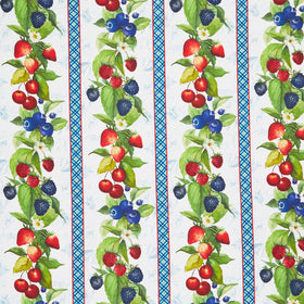 Patchwork Picnic - Berries Multi Repeating Stripe Yardage
