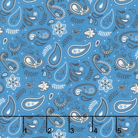 Stripes and Stars - Paisley Blue Yardage