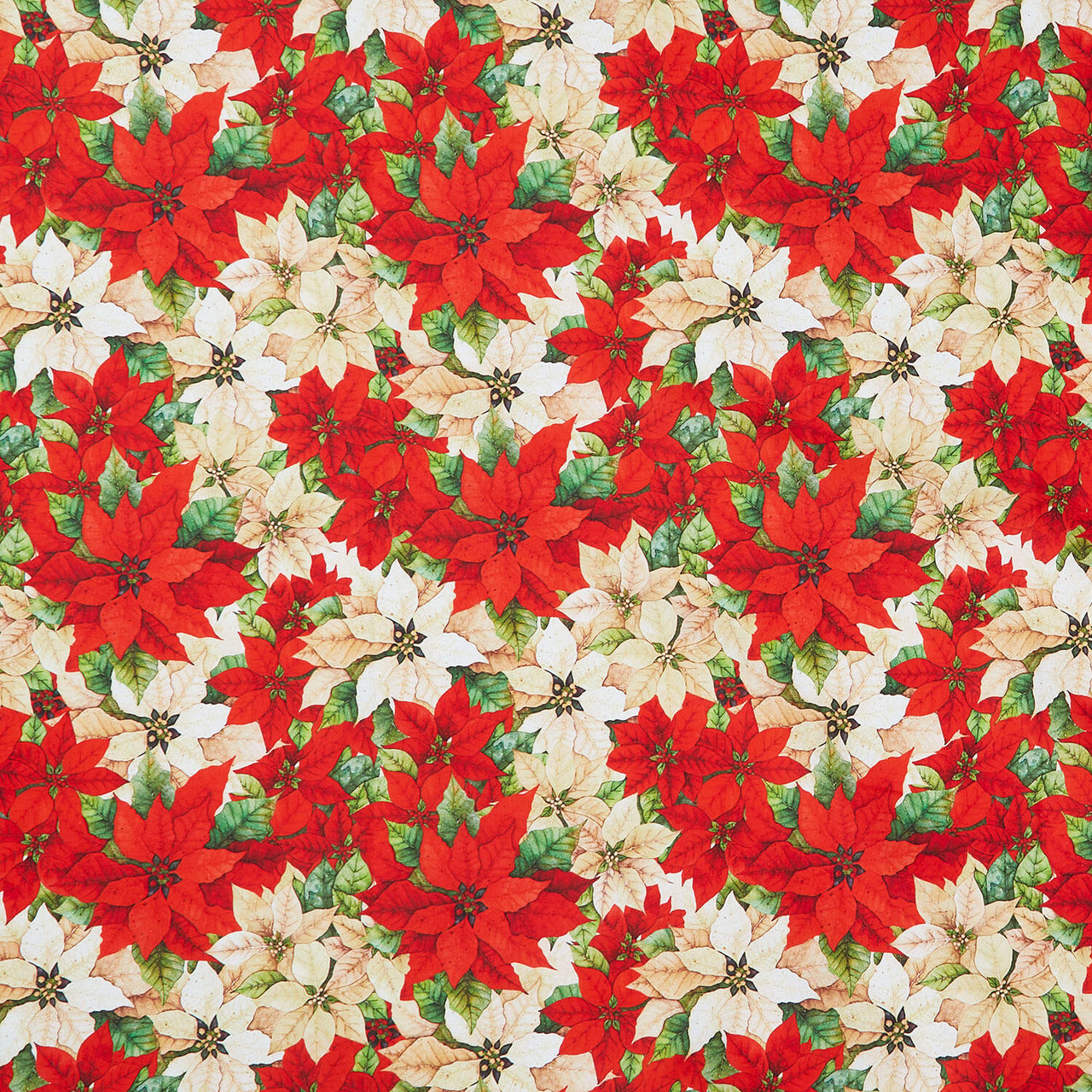 Poinsettia Radiance - Packed Poinsettia Cream Red Yardage