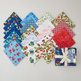 Patchwork Picnic Fat Quarter Bundle
