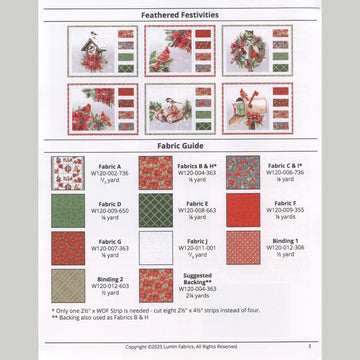 Feathered Festivities Radiant Placemats Kit