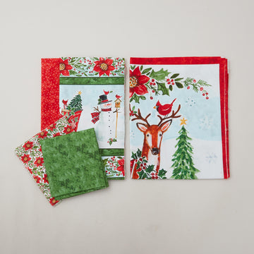 Snowy Greetings Two Sided Door Banner Kit