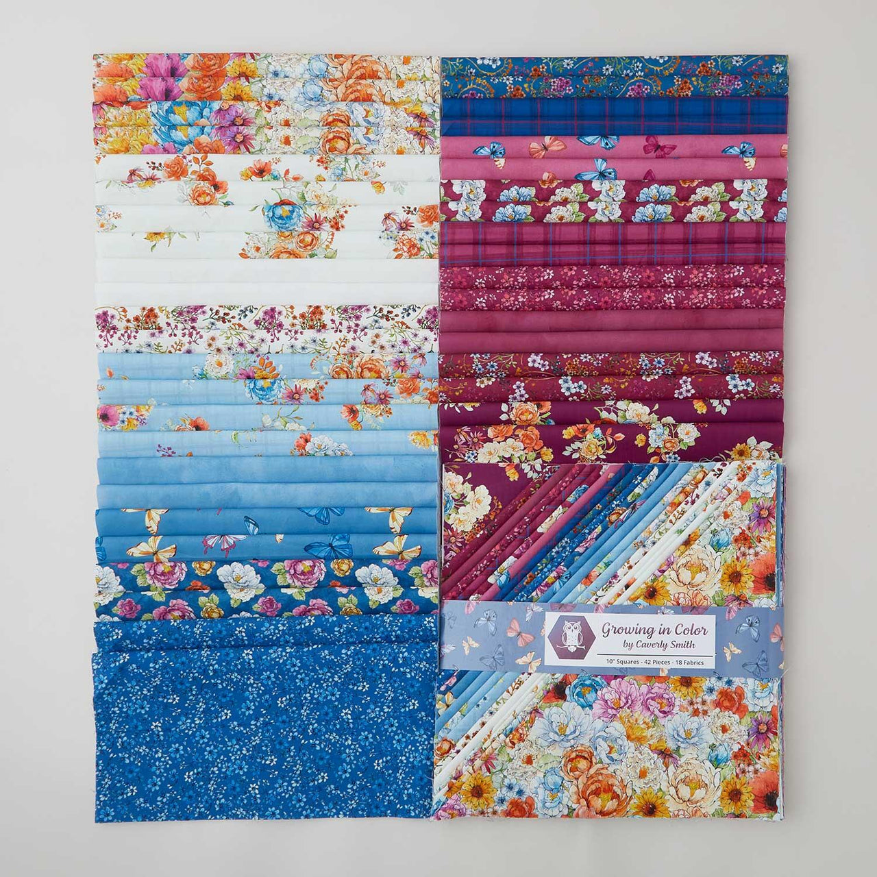 Growing in Color 10" Squares