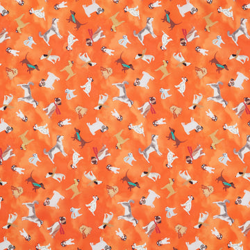 Up Up and Awoof - Jetsetter Ember Yardage