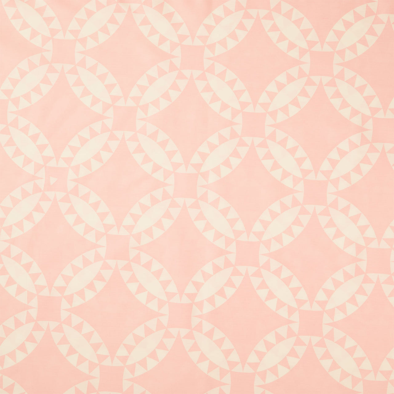 Perfect Points - Pickle Dish Cheater Print Blush 108" Wide Backing