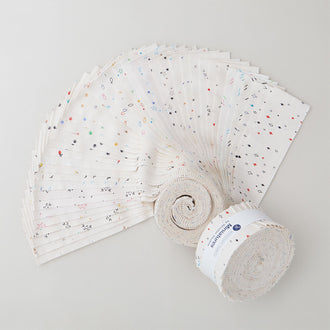Miniatures 2 1/2" Strips