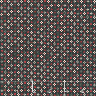 Circa - Turkey Red Tiles Black Yardage