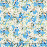 Missouri Shop Hop 2025 - Aerial Explorers Sky Yardage