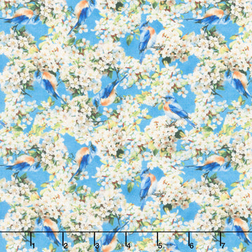 Missouri Shop Hop 2025 - Aerial Explorers Sky Yardage