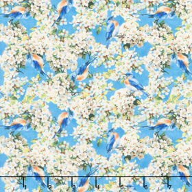 Missouri Shop Hop 2025 - Aerial Explorers Sky Yardage