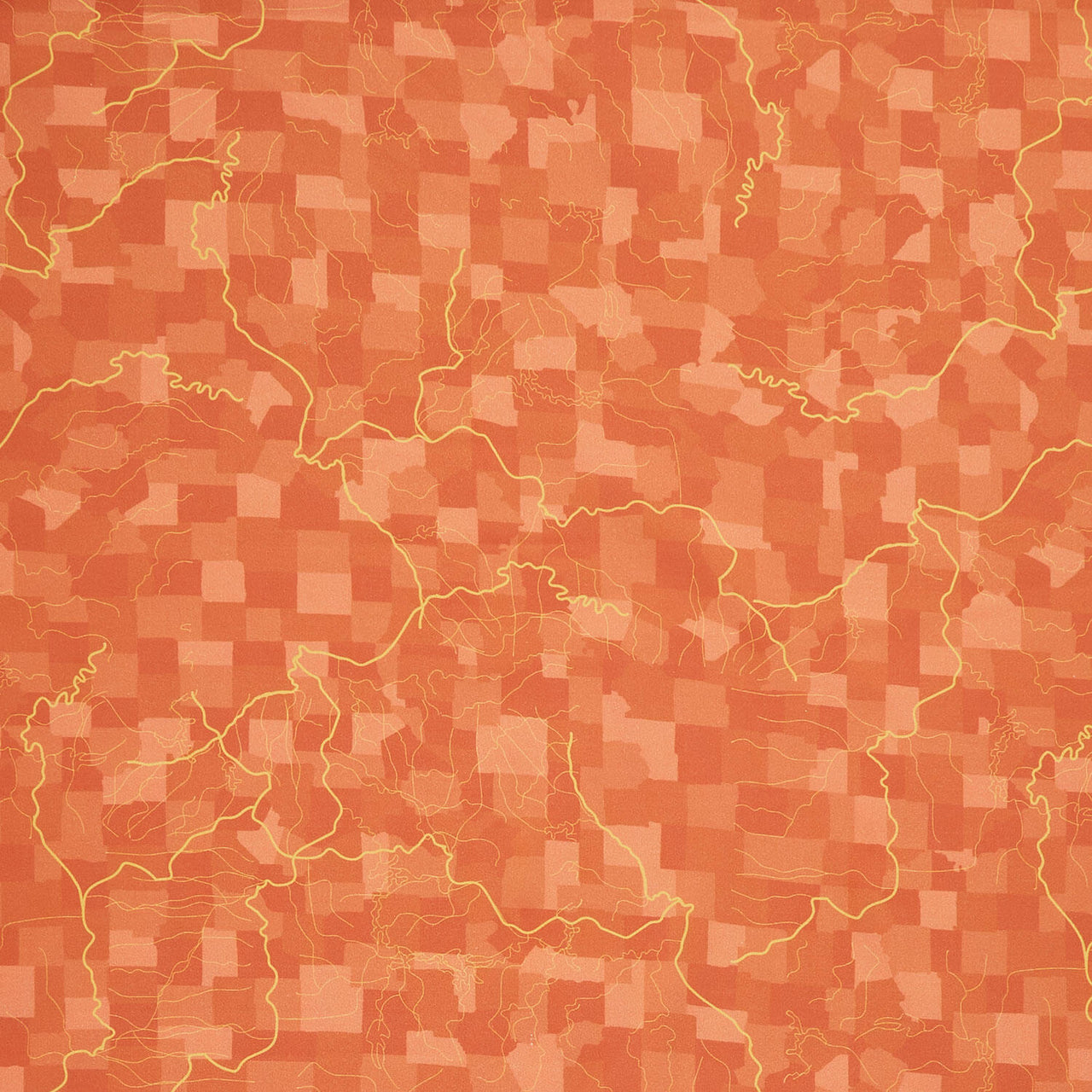 Missouri Shop Hop 2025 - Flowing Rivers Burnt Orange Yardage