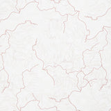 Missouri Shop Hop 2025 - Flowing Rivers White Yardage