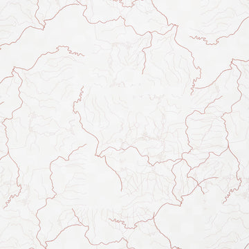 Missouri Shop Hop 2025 - Flowing Rivers White Yardage