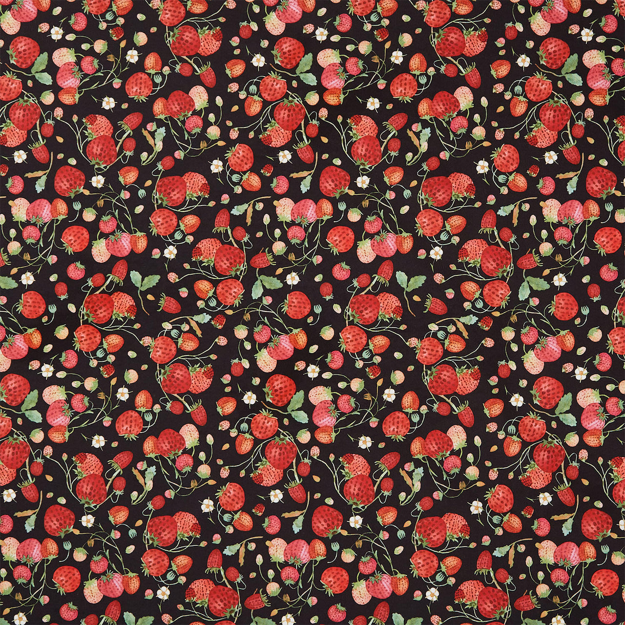 Forest Fruits - Strawberries Black Yardage