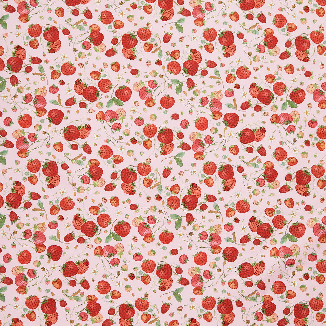 Forest Fruits - Strawberries Pink Yardage