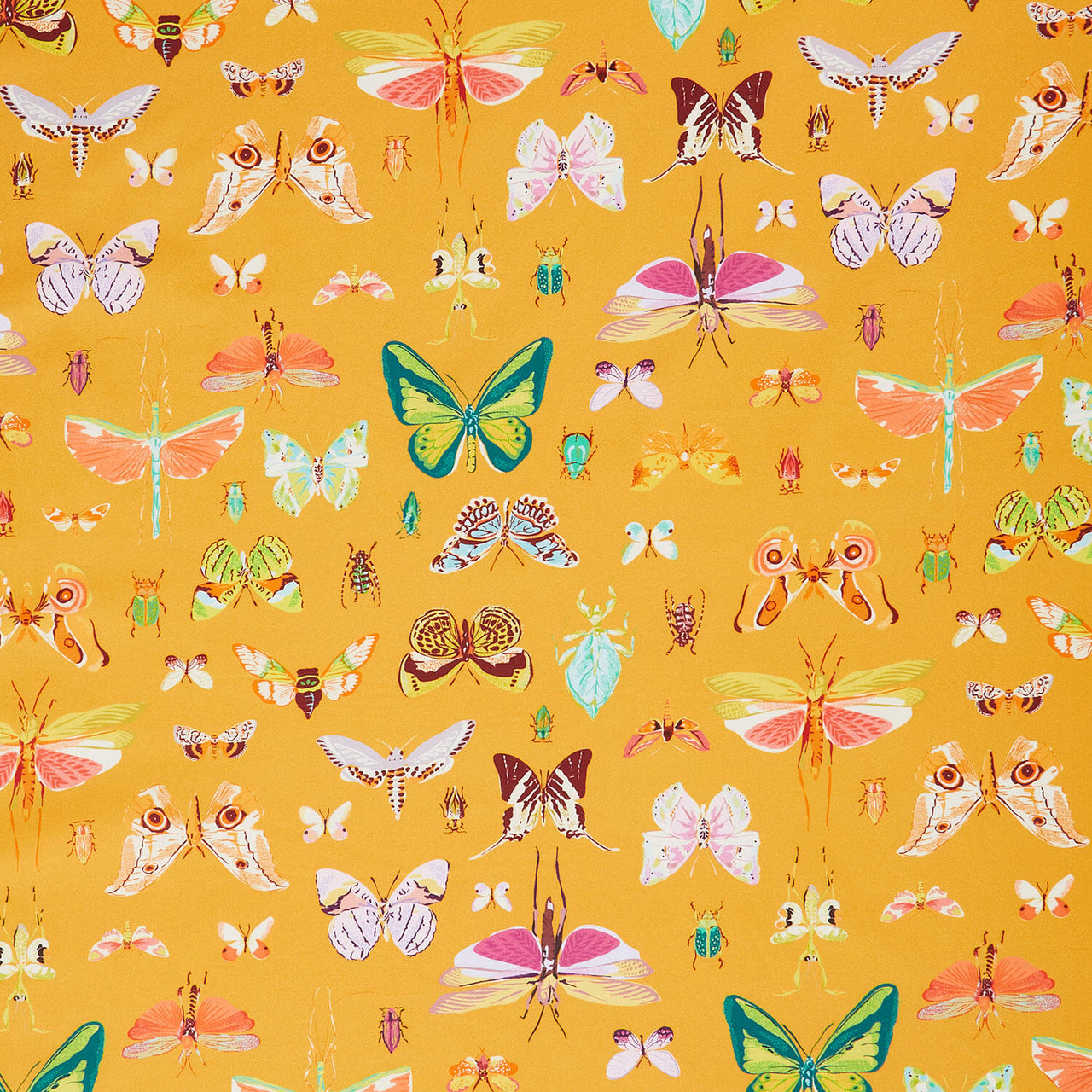 Insectarium - On Display Amber Yardage