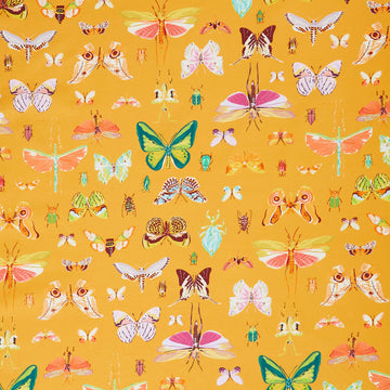 Insectarium - On Display Amber Yardage