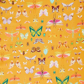 Insectarium - On Display Amber Yardage