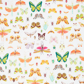 Insectarium - On Display Light Yardage