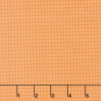 Nature Study 2.0 - Rattan Rhubarb Yardage
