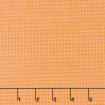 Nature Study 2.0 - Rattan Rhubarb Yardage