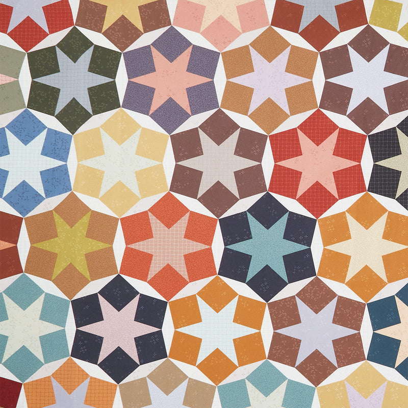 Nature Study 2.0 - Stellar Whole Cloth Multi Yardage