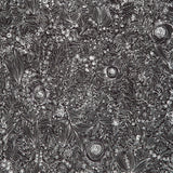 Pen and Petal - Daydream Black Yardage