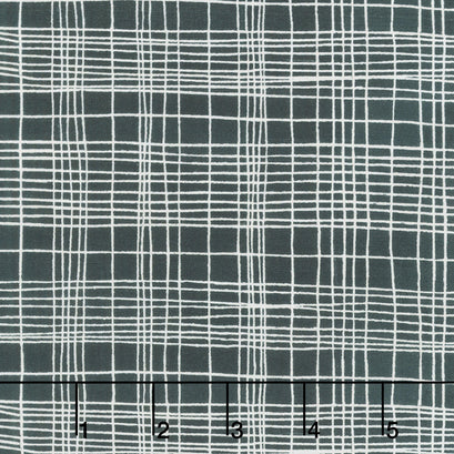The Plaid One - String Theory Plaid Space Tunnel Yardage