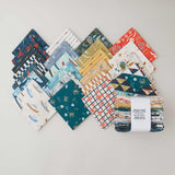 Rocky Coast Fat Quarter Bundle