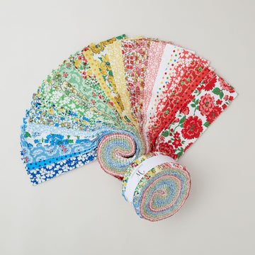 Merry Go Round 2 1/2" Strips