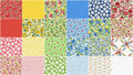 Merry Go Round 2 1/2" Strips