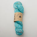 Madelinetosh Tosh Vintage Yarn - Pinata Pop