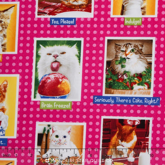 Eat, Drink and Be Funny - Pink Cats Yardage