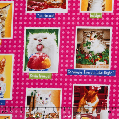 Eat, Drink and Be Funny - Pink Cats Yardage